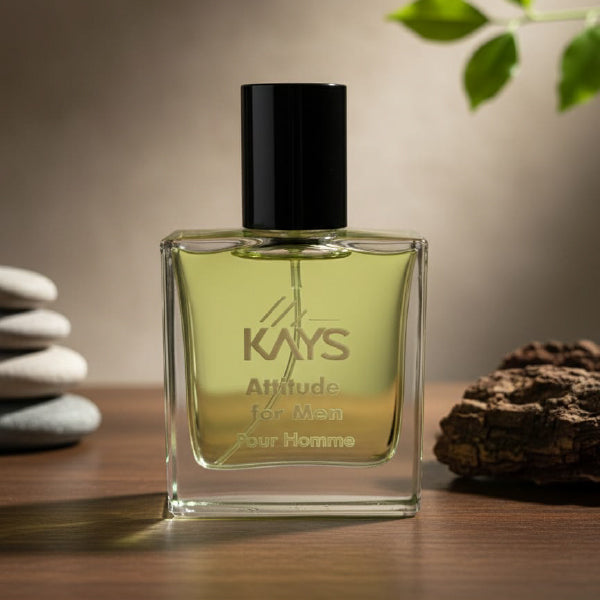 Kays | Attitude for Men